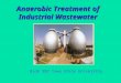 Anaerobic Treatment of Industrial Wastewater BioE 202 Iowa State University