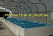 Recirculation Aquaculture. Why Recirculation Water use Climate Quality Predation Environmental impact Land Disease Exotic species (or control thereof…