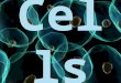 All living things are made of cells. Cells carry out the functions needed to support life. Cells come only from other living cells