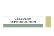 CELLULAR REPRODUCTION. How did I grow taller? How are my worn out cells replaced? How do I heal from injuries? The answer is…. Cellular Reproduction or