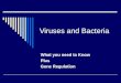 Viruses and Bacteria What you need to Know Plus Gene Regulation