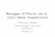 Mutagen Effects on E. coli Gene Expression Patrick Skeba Pittsburgh Central Catholic Grade 11
