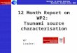 12 Month Report on WP2: Tsunami source characterisation Nearest 12 Month Meeting Marrakech, October 25-26, 2007 WP Leader: