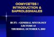 OOMYCETES I INTRODUCTION & SAPROLEGNIALES IB 371 – GENERAL MYCOLOGY LECTURE 13 THURSDAY, OCTOBER 9, 2003