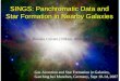 SINGS: Panchromatic Data and Star Formation in Nearby Galaxies Daniela Calzetti (UMass, Amherst) Gas Accretion and Star Formation in Galaxies, Garching