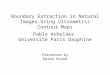 Boundary Extraction in Natural Images Using Ultrametric Contour Maps Pablo Arbeláez Université Paris Dauphine Presented by Derek Hoiem