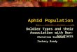 Aphid Population Soldier Types and their Association with Non-Soldiers Christina Sartorio Zachary Brady