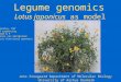 Legume genomics Lotus japonicus as model Jens Stougaard Department of Molecular Biology University of Aarhus Denmark Wheat & barley, P&T Lolium EST seguencing