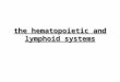 The hematopoietic and lymphoid systems. hematopathology blood lymphoid organs –central: bone marrow thymus –peripheral: lymph nodes MALT (Waldeyer´s ring,
