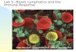 Lab 5 –Blood, Lymphatics and the Immune Response Gilbert Pitts, Ph.D., Joseph Schiller, Ph.D., James F. Thompson, Ph.D