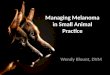 Managing Melanoma in Small Animal Practice Wendy Blount, DVM