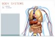 7 TH GRADE MR. FISHER BODY SYSTEMS. Body Systems (11) Nervous System Endocrine System Skeletal System Muscular System Digestive System Circulatory System