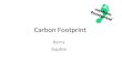 Carbon Footprint Kerry Sophie. What is a Carbon Footprint ? A carbon footprint is “the total set of greenhouse gas emissions caused directly and indirectly