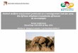 Animal welfare assessment protocols as a management tool for zoos: the African elephant (Loxodonta africana) as an example Zoovet Conference Bussolengo