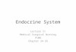Endocrine System Lecture 11 Medical Surgical Nursing P10B Chapter 34-35