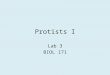 Protists I Lab 3 BIOL 171. Remember!: Classification System