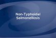 Non-Typhoidal Salmonellosis. Overview Organism History Epidemiology Transmission Disease in Humans Disease in Animals Prevention and Control