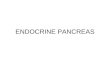 ENDOCRINE PANCREAS. Pancreas Head, body, tail Arterial blood supply splenic artery, branches of grastroduodenal, superior mesenteric Venous blood  hepatic