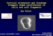Ewa Paluch Institut Curie/CNRS, Paris Cortical actomyosin gel breakage triggers shape oscillations in cells and cell fragments Present address: Max-Planck-Institute-CBG,