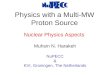 Physics with a Multi-MW Proton Source Muhsin N. Harakeh NuPECC & KVI, Groningen, The Netherlands Nuclear Physics Aspects