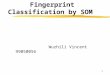 1 Fingerprint Classification by SOM Wuzhili Vincent 99050056