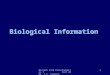 Biotech 4490 Bioinformatics I Fall 2006 J.C. Salerno 1 Biological Information