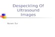 Despeckling Of Ultrasound Images Ronen Tur. Outline Ultrasound Imaging What Is Speckle Noise? Standard Denoising Methods Modified Homomorphic Despeckling
