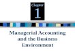 Managerial Accounting and the Business Environment Chapter 1