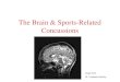 The Brain & Sports-Related Concussions Image from Dr. Venkatesh Murthy