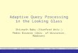 IntroductionAQP FamiliesComparisonNew IdeasConclusions Adaptive Query Processing in the Looking Glass Shivnath Babu (Stanford Univ.) Pedro Bizarro (Univ