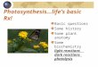 Photosynthesis…life’s basic Rx! Basic questions Some history Some plant anatomy Some biochemistry light reactions dark reactions photolysis