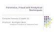 Forensics, Fraud and Analytical Techniques Computer Forensics (Chapter 12) Practicum: Burlington Bees (Analytical Procedures as Substantive Tests)