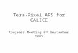 Tera-Pixel APS for CALICE Progress Meeting 6 th September 2006