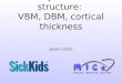 Techniques for the analysis of GM structure: VBM, DBM, cortical thickness Jason Lerch