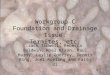Workgroup C Foundation and Drainage Issue: Termites, etc. Jack Tidwell, Rebecca Baldwin, Noel Nixon, Paul Hardy, Leslie Godfrey, Dennis Ring, Joel Roeling
