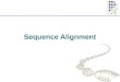 Sequence Alignment. Complete DNA Sequences More than 1000 complete genomes have been sequenced
