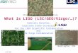 LIGO-GXX What is LIGO (LSC/GEO/Virgo/…)? Gabriela González, Louisiana State University For the LIGO Scientific Collaboration and the Virgo Collaboration