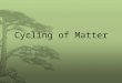 Cycling of Matter. What will we learn? Cycling of matter within living systems Example of living system: compost bin