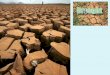 Drought A drought is an extended period of dry weather leading to extremely dry conditions. The definition of drought depends on the culture defining