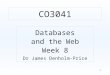 1 CO3041 Databases and the Web Week 8 Dr James Denholm-Price