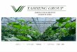 2011 OTCQB: YHGG XETRA: YSF.DE. Safe Harbor Statement Any statements in this summary about YaSheng Group’s expectations, beliefs, plans, objectives, assumptions
