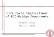 Life Cycle Implications of ECC- Bridge Components Andrew Shuck May 3, 2010