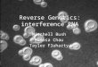 Reverse Genetics: interference RNA Mitchell Bush Mimosa Chau Tayler Fluharty