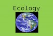 Ecology. What is Ecology? Ecology -- study of interactions that occur among organisms and their environments. Ecologist = a scientist who studies these