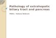 Pathology of extrahepatic biliary tract and pancreas MUDr. Helena Skálová