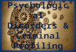 Psychopathological Triad There are three more important characteristics (behavioral red flags) often referred to as the psychopathological triad. And