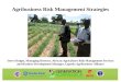Agribusiness Risk Management Strategies Steve Hodges, Managing Director, African Agriculture Risk Management Services and Business Development Manager,