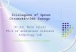 Etiologies of Sperm Chromatin/DNA Damage Dr Ali Reza Talebi Ph.D of anatomical sciences Andrology lab