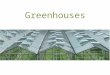 Greenhouses limit increase: GCE0000002554889. Greenhouse Greenhouse: Building used to house and grow plants -Climate can be controlled -Amount of water