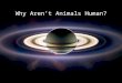 Why Aren’t Animals Human?. Life is primordial; animals are ancient; humans are very recent